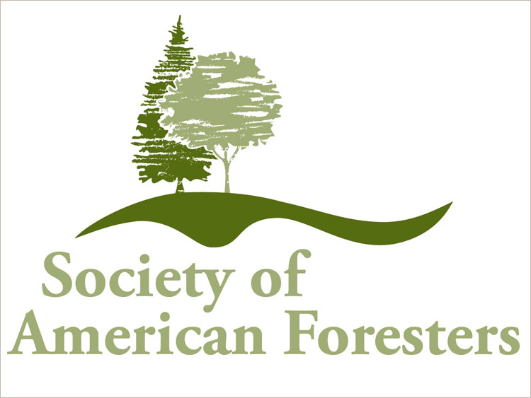 Tom Hittle Elected to Lead WI Society of American Foresters