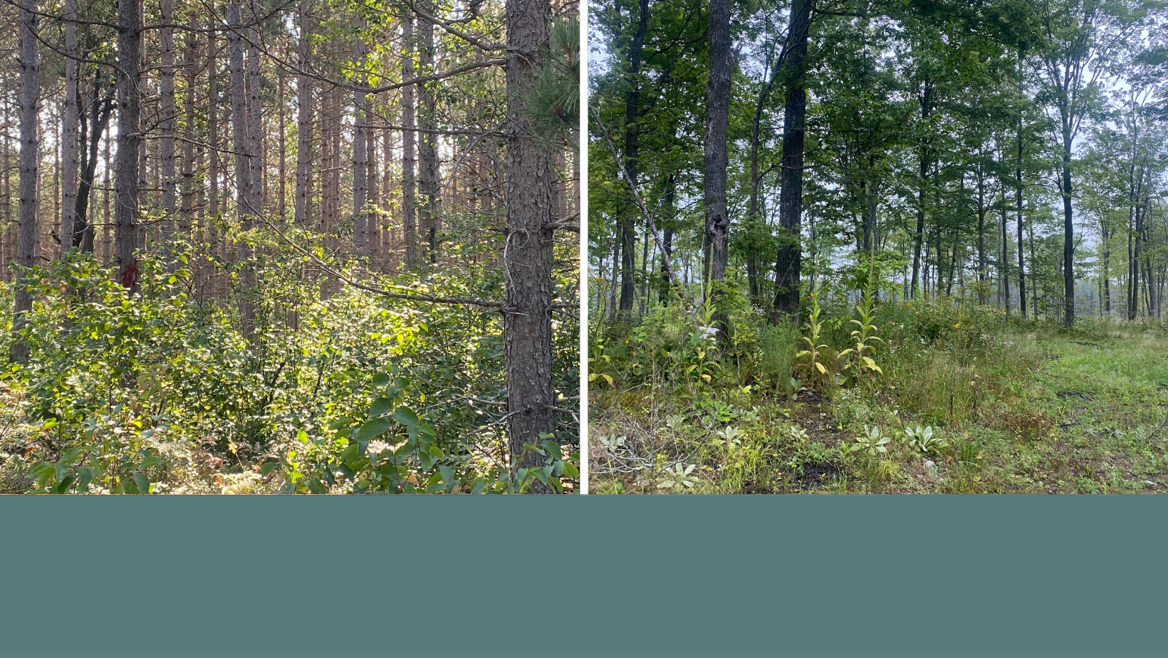 Ed’s Top Real Estate Listings – September 2024