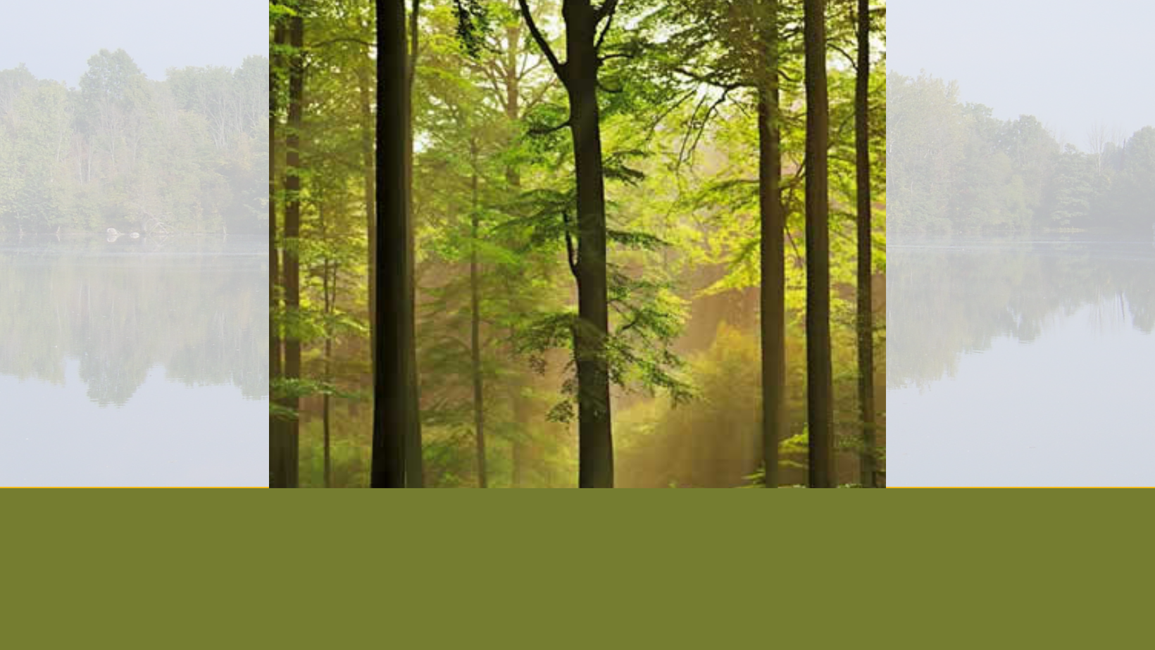 Buying Managed Forest Law (MFL) Land