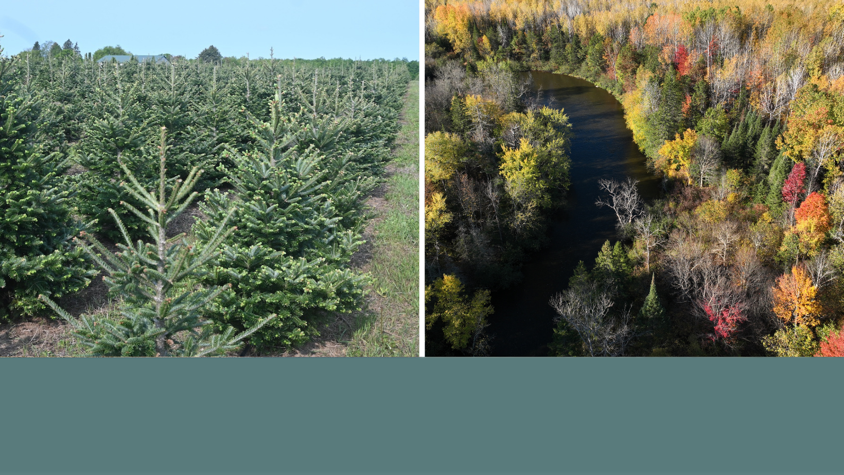 Ed’s Top Real Estate Listings – June 2025