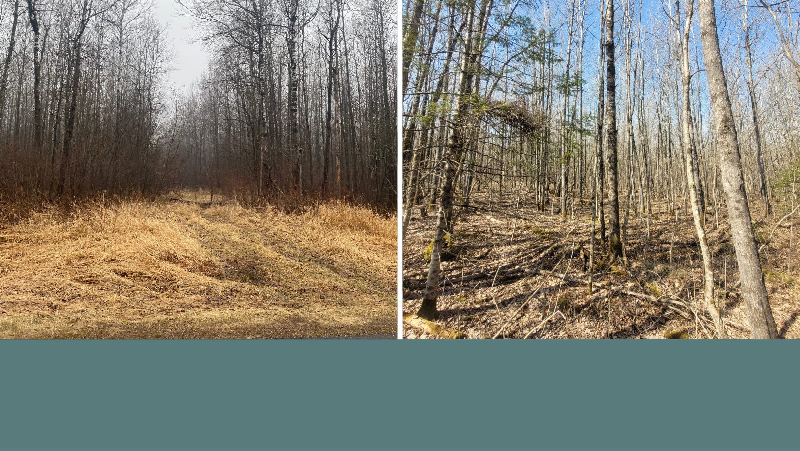 Ed’s Top Real Estate Listings – September 2025