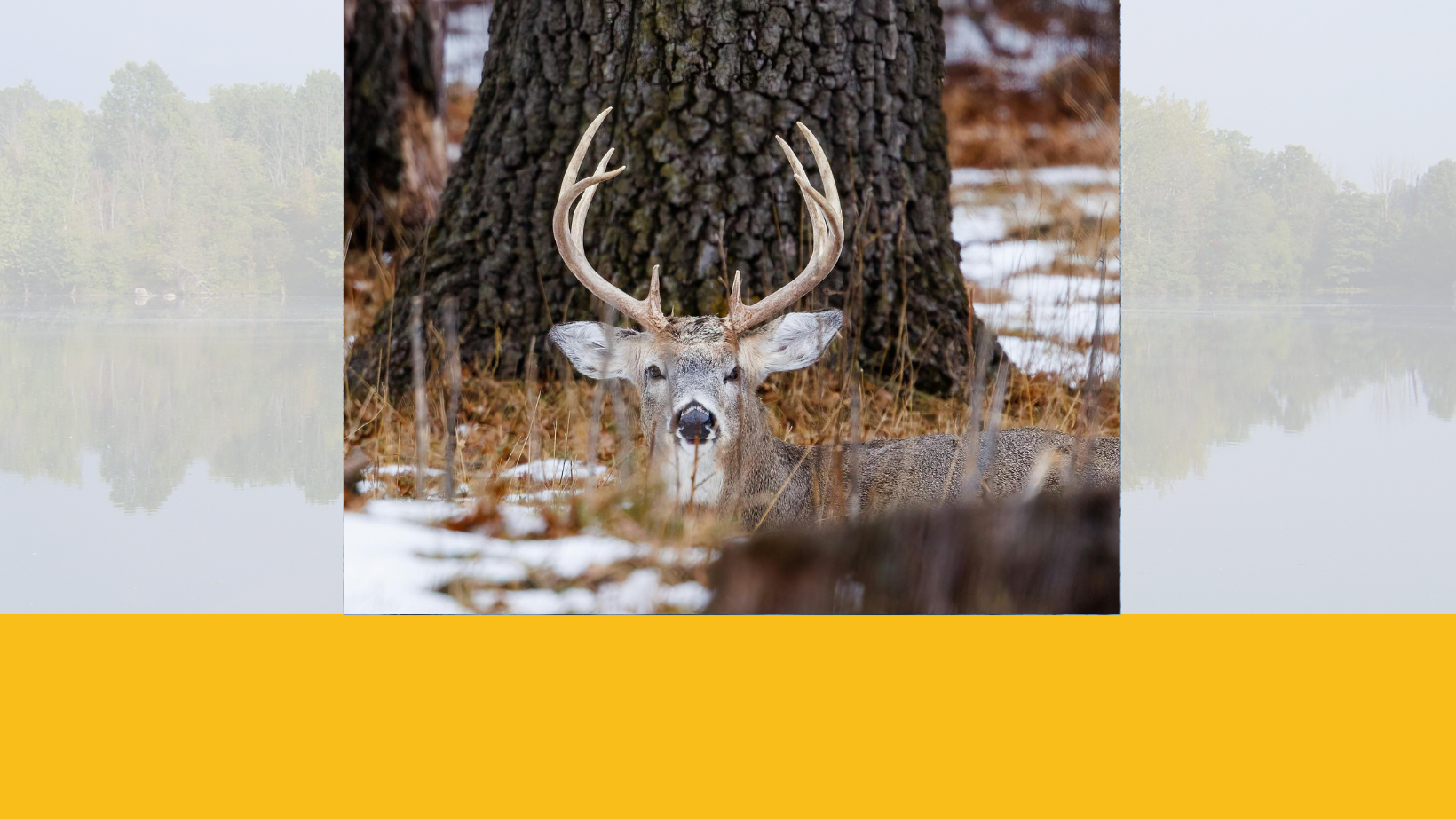 Safety at Steigerwaldt: Hunting Season Safety