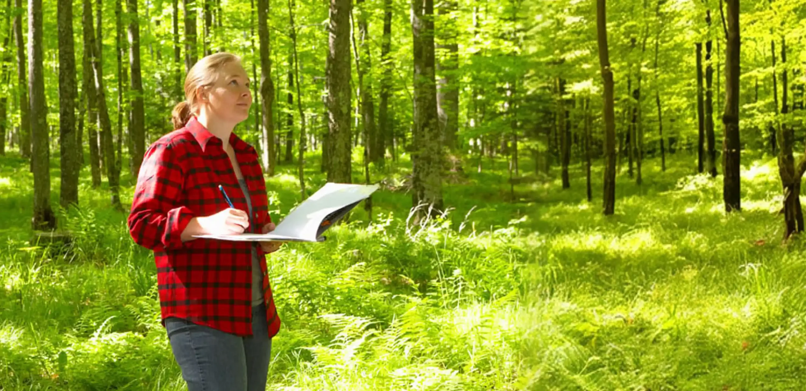 appraisal-sevice-image